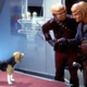 “It’s a lower life form, you fool! Probably the captain’s next meal!”